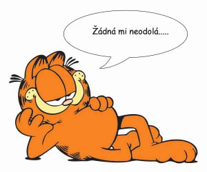 Garfield - Žádná mi neodolá
